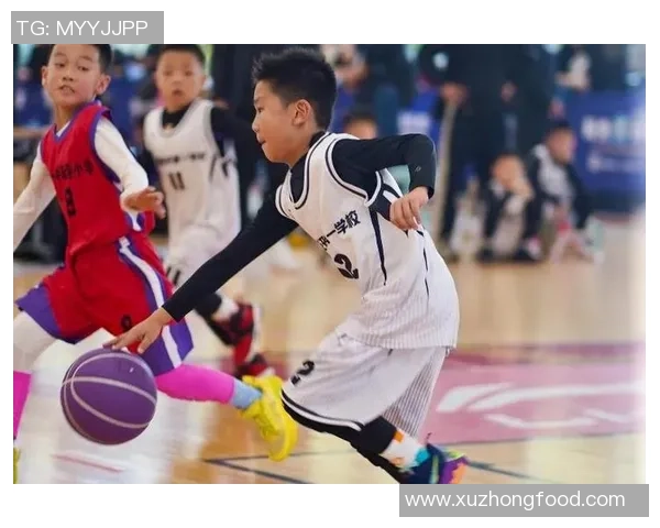 西安篮球队实力强劲荣登全国篮球实力排行榜第四名